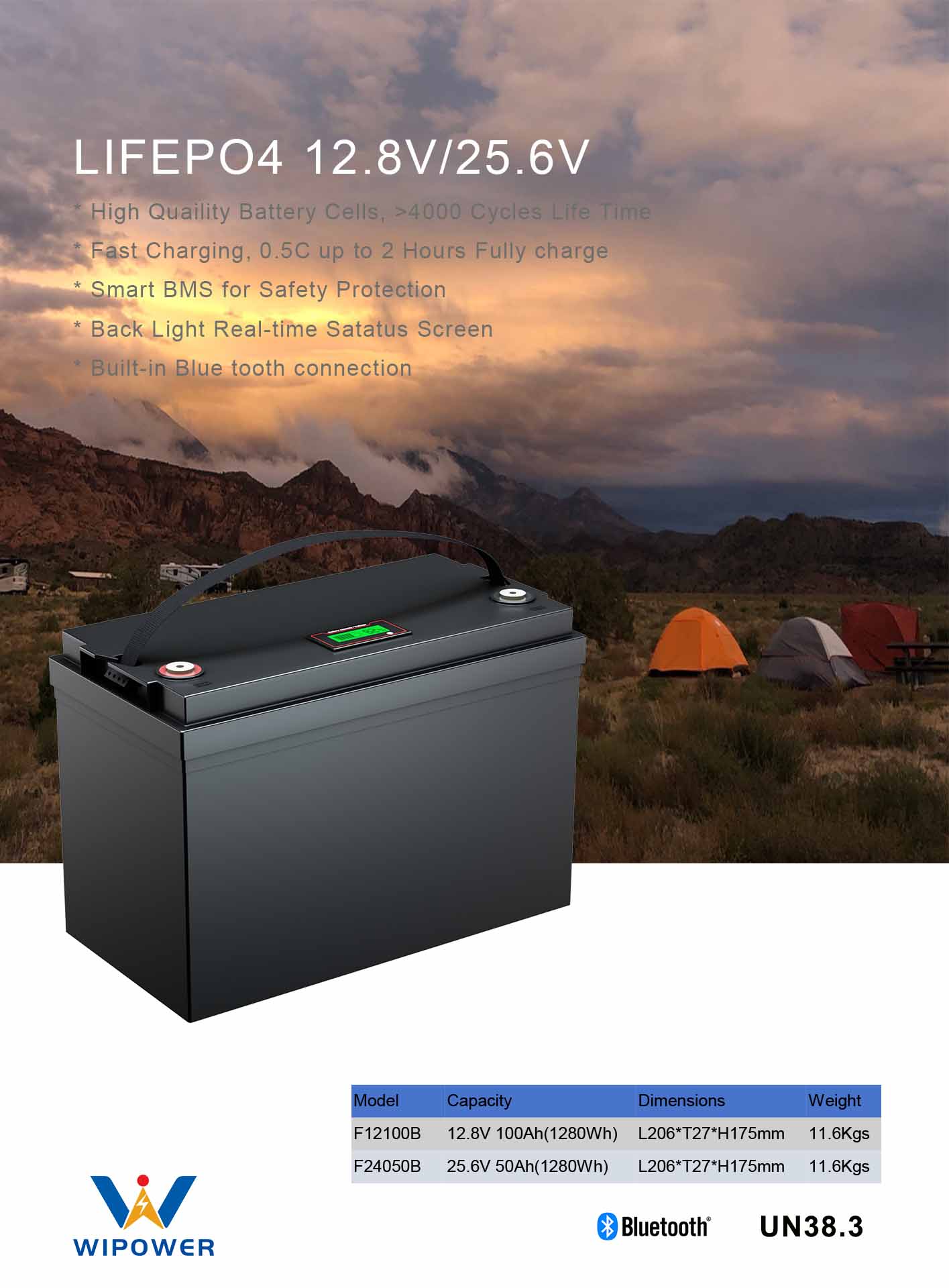 WIPOWER 12.8V 100AH-25.6V 50AH SPE 1.jpg